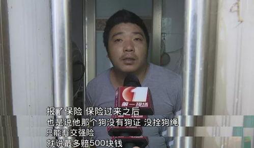 深圳一女士爆料视频最新,揭露惊人真相!  第3张 深圳一女士爆料视频最新,揭露惊人真相!  第3张