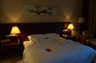 乐山酒店爆料事件真相视频,真相视频曝光背后的真相  第2张 乐山酒店爆料事件真相视频,真相视频曝光背后的真相  第2张