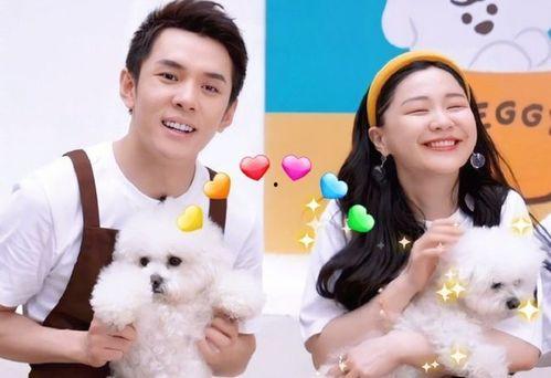 金靖最新爆料新闻,揭秘娱乐圈不为人知的幕后故事  第2张 金靖最新爆料新闻,揭秘娱乐圈不为人知的幕后故事  第2张