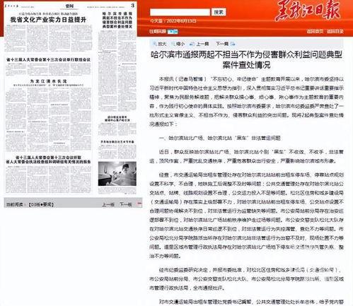 哈尔滨网约车爆料事件最新,司机与乘客冲突引发社会关注  第2张 哈尔滨网约车爆料事件最新,司机与乘客冲突引发社会关注  第2张