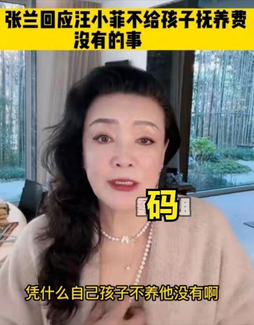 美王妈妈爆料视频,独家幕后故事大公开  第3张 美王妈妈爆料视频,独家幕后故事大公开  第3张