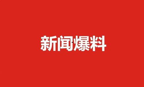 爆料新闻小说在线阅读全文,爆料新闻背后的真相与秘密  第2张 爆料新闻小说在线阅读全文,爆料新闻背后的真相与秘密  第2张