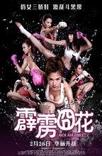 霹雳 花在线观看,热血青春,激情燃烧的岁月  第2张 霹雳 花在线观看,热血青春,激情燃烧的岁月  第2张