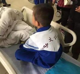 石家庄食堂爆料最新消息,食品安全问题引发关注  第3张 石家庄食堂爆料最新消息,食品安全问题引发关注  第3张