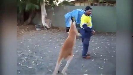 狠狠干爰射在线观看,一场激情燃烧的视觉盛宴  第3张 狠狠干爰射在线观看,一场激情燃烧的视觉盛宴  第3张