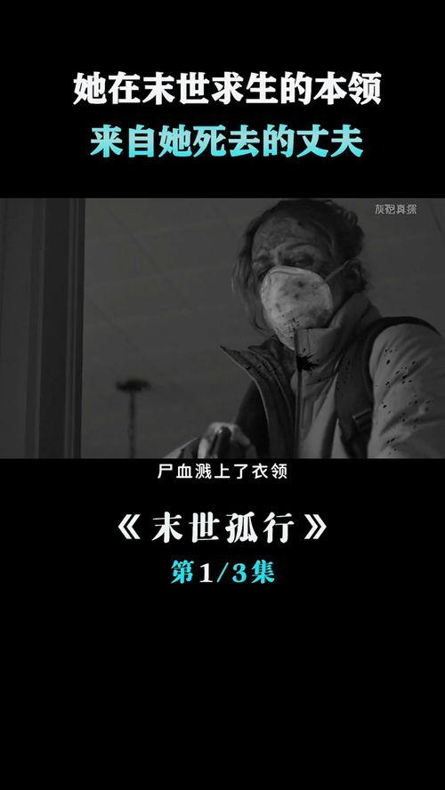 丧尸屠城在线观看,末世求生记  第2张 丧尸屠城在线观看,末世求生记  第2张