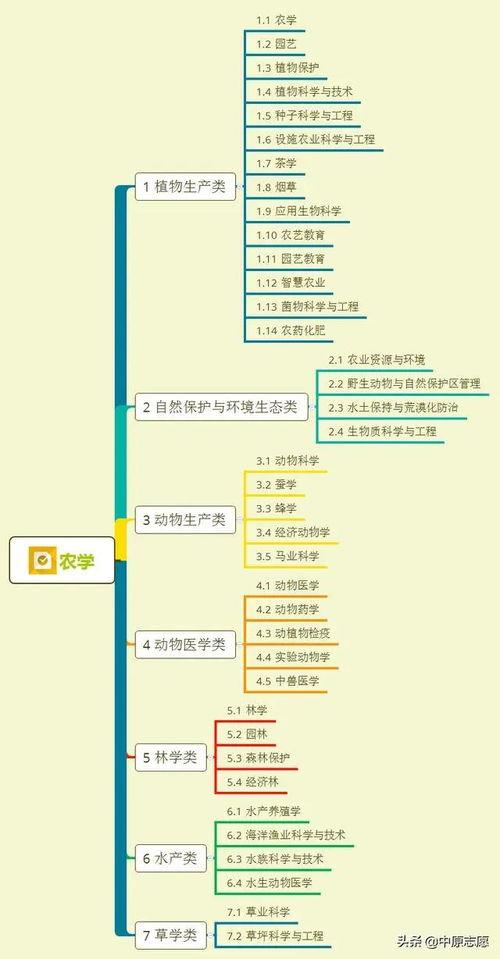 爆料炸鸡大叔视频大全集,美味瞬间尽收眼底  第2张