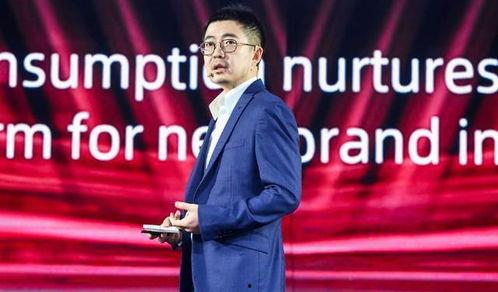 阿里和蒋凡最新爆料视频,揭秘与马云的冲突与真相  第2张 阿里和蒋凡最新爆料视频,揭秘与马云的冲突与真相  第2张